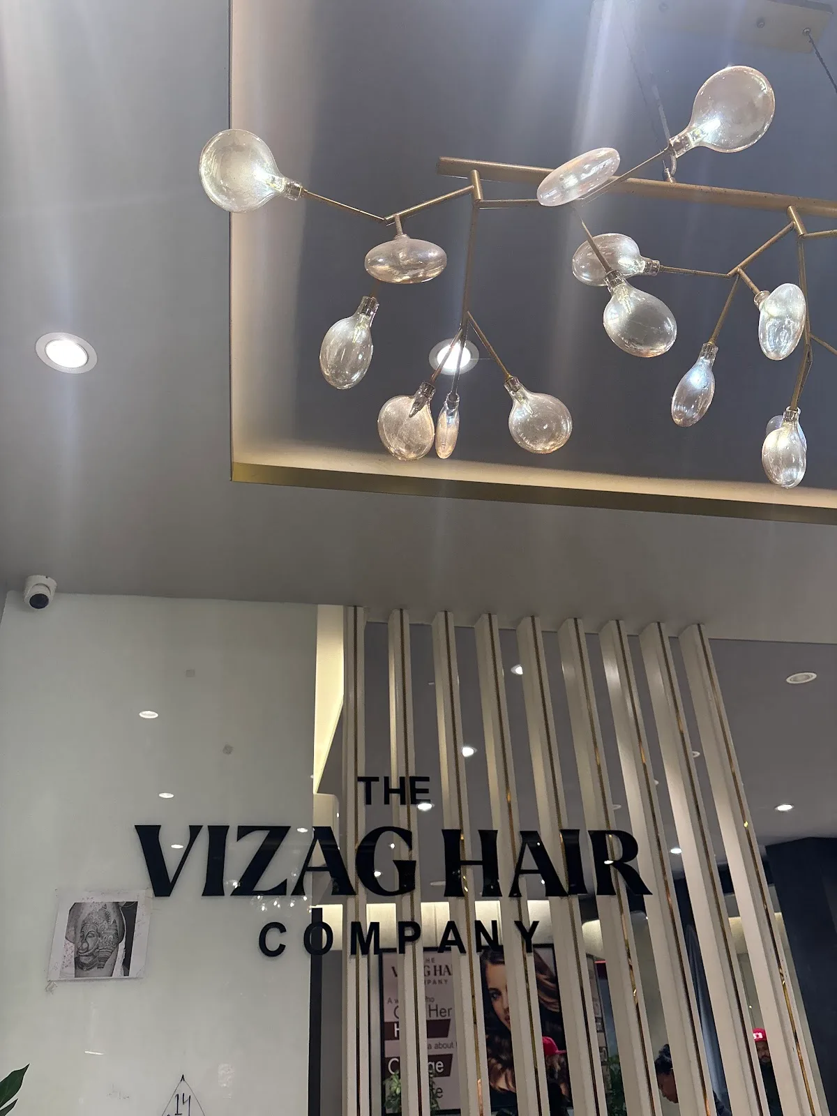 The Vizag Hair Company
