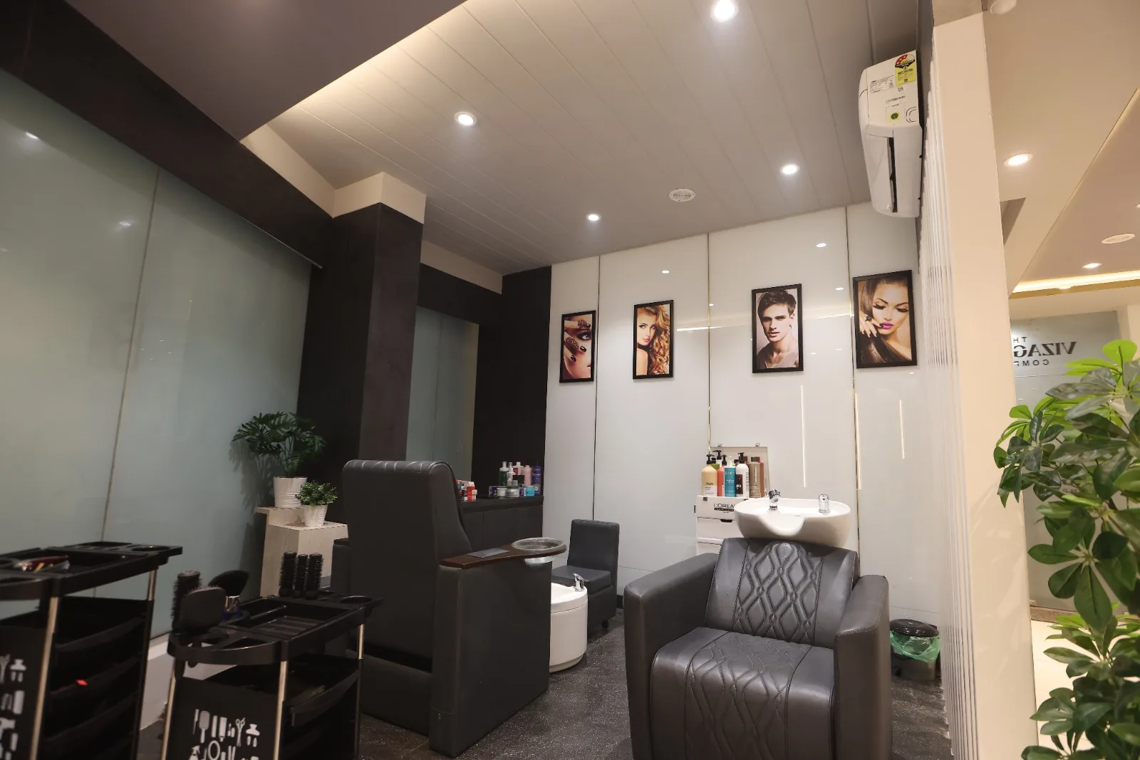 The Vizag Hair Company