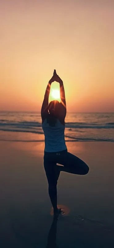 Sanchiti's Fitness Studio