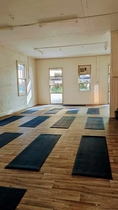 The Wellbeing Studio