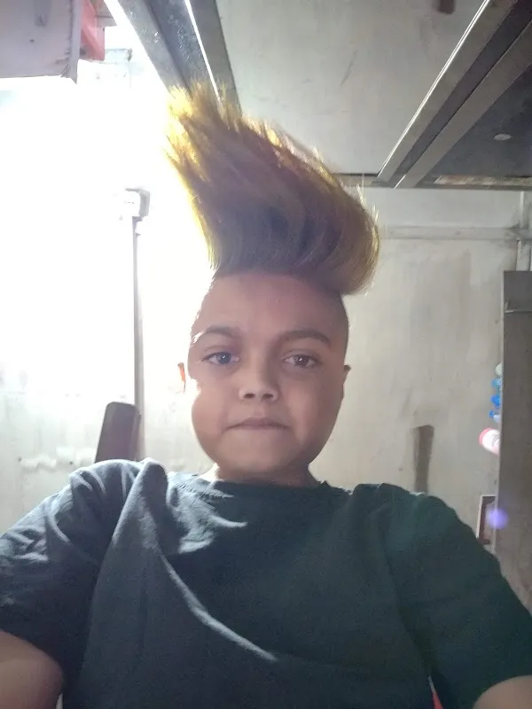 Mr_Trimmer
