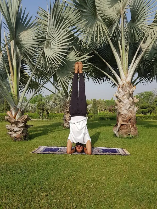 Roshan Yoga Classes