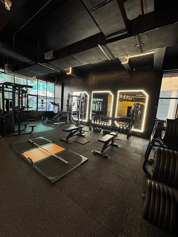 Aurea Fitness