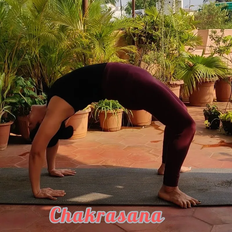 Fitness Yoga (only for women)