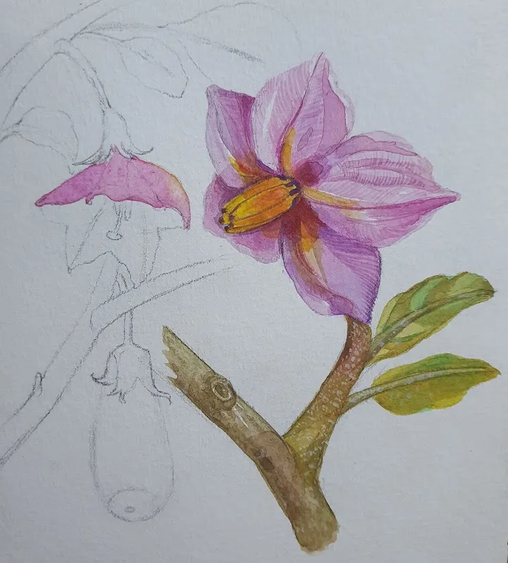 Atypical studio (Art classes by Sampa Das)