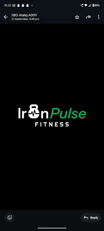 Ironpulse fitness