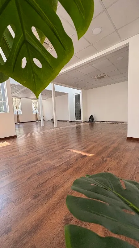 YogaStudio Chile