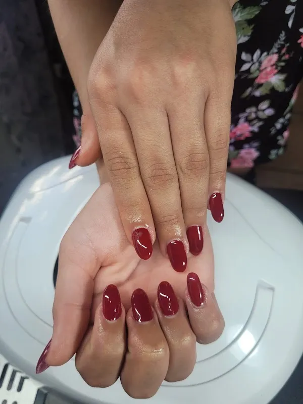 Salon 51