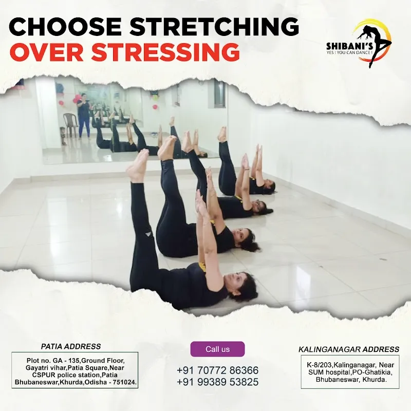 Shibanis Yes You Can Dance 2 Academy of Dance Music Fitness Odissi