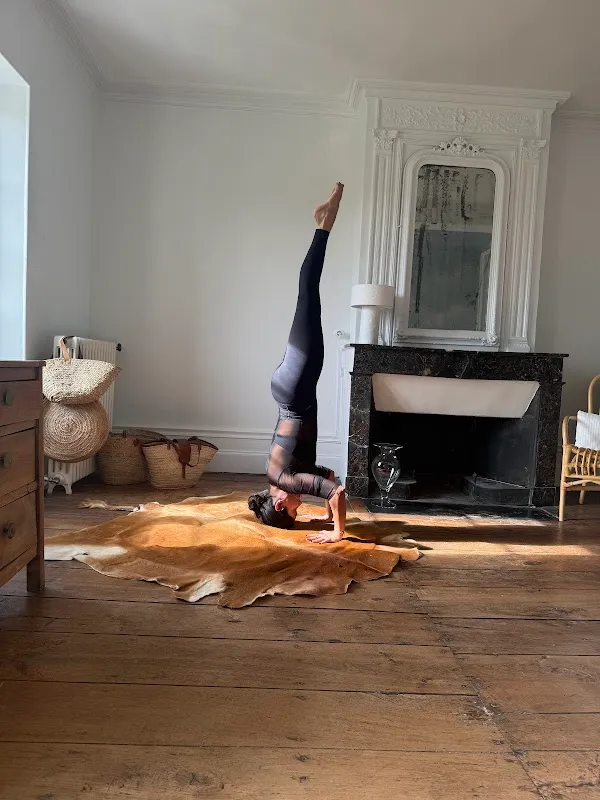 Ida Yoga Wellness