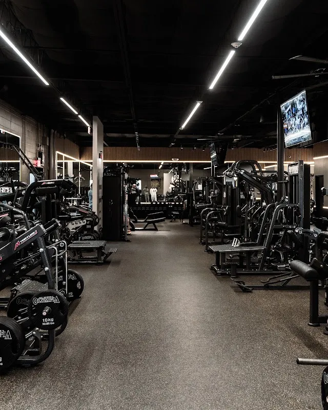 Model Collective - Fitness - Recovery - Wellness