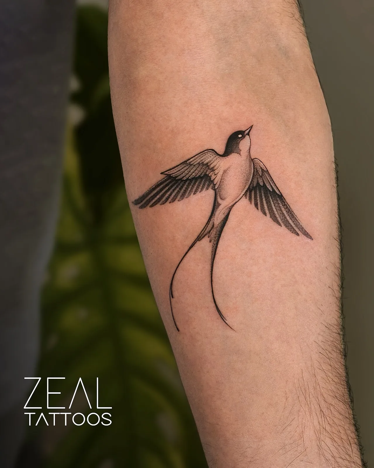 Zeal Tattoo Studio