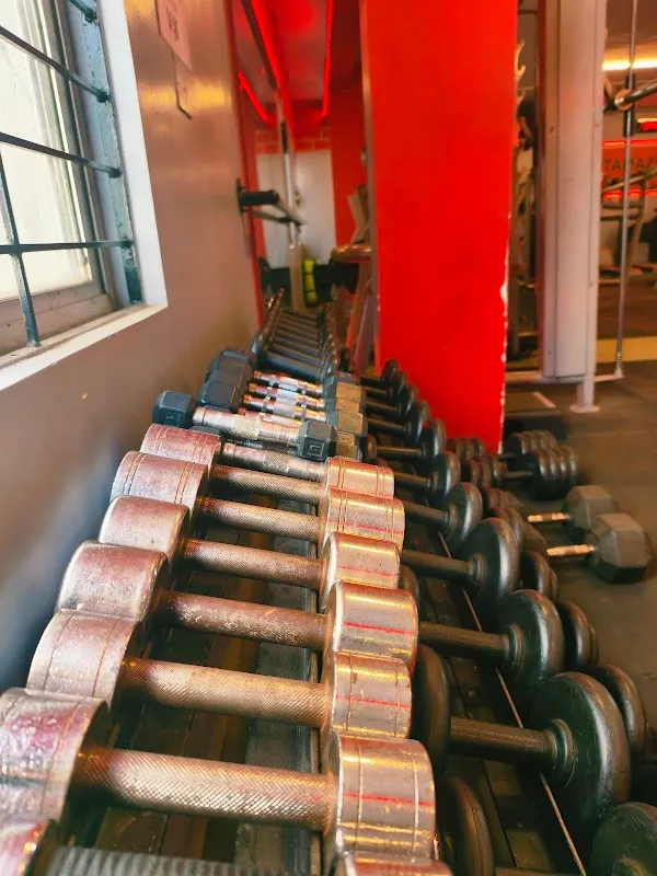 FITAMAZE GYM and Fitness Centre - Best GYM In RT Nagar, Near By GYM in Sultan Palya, Good GYM in RT Nagar, Good GYM Offers
