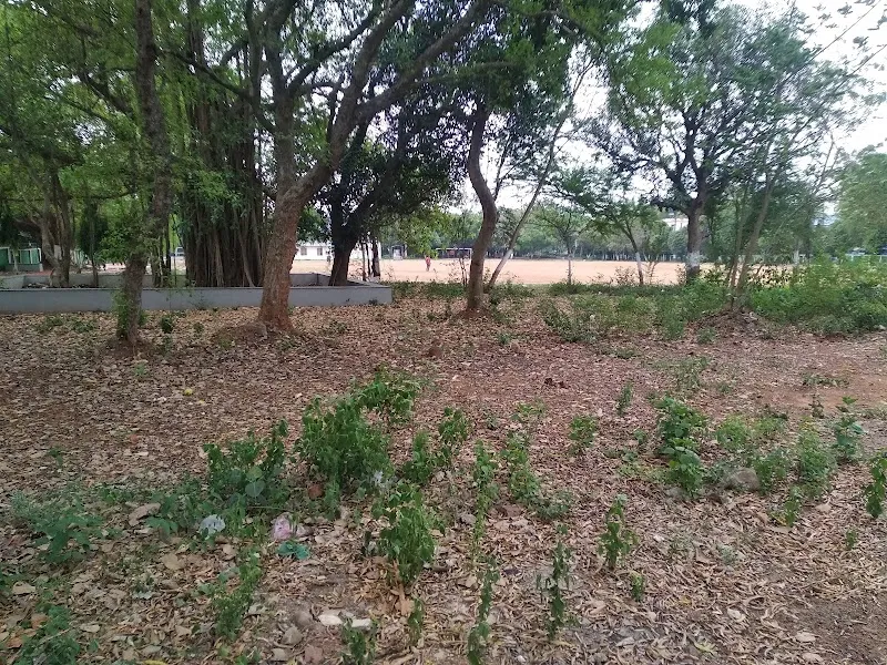 AG Recreation Club