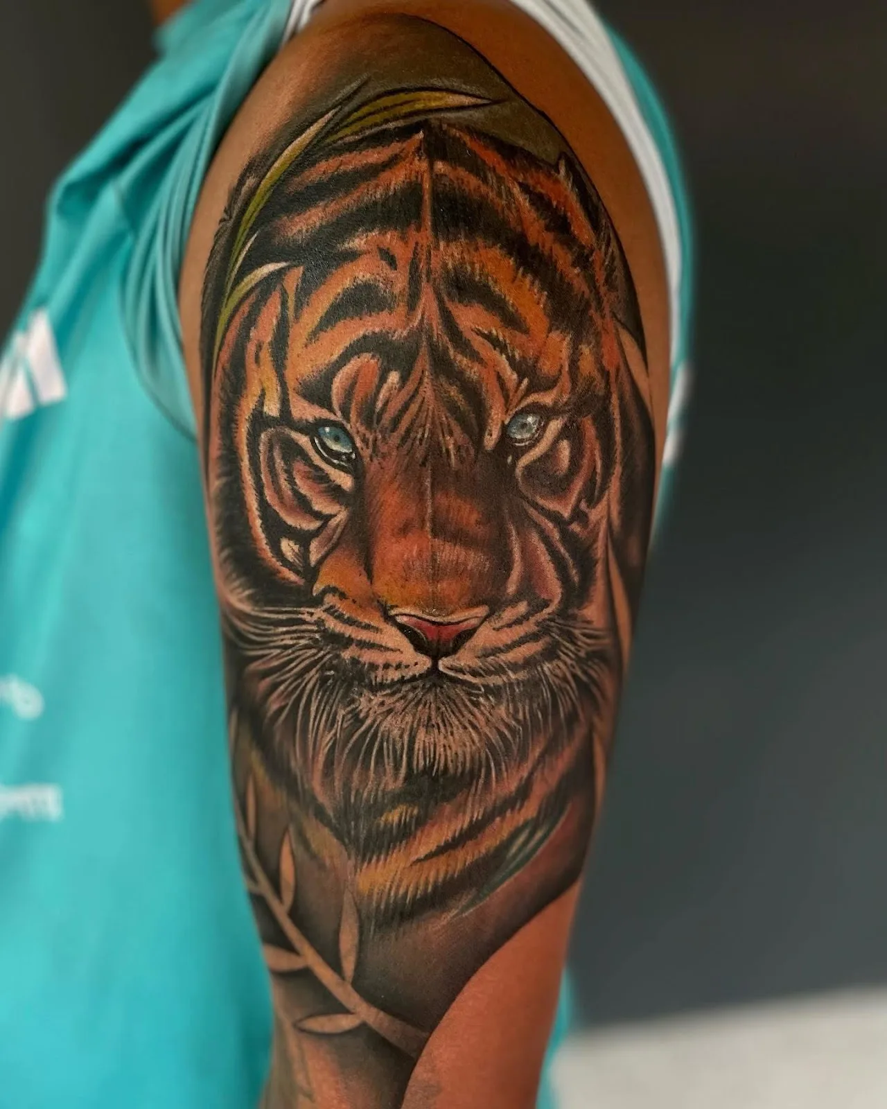 Dark Shader Tattoo & Training