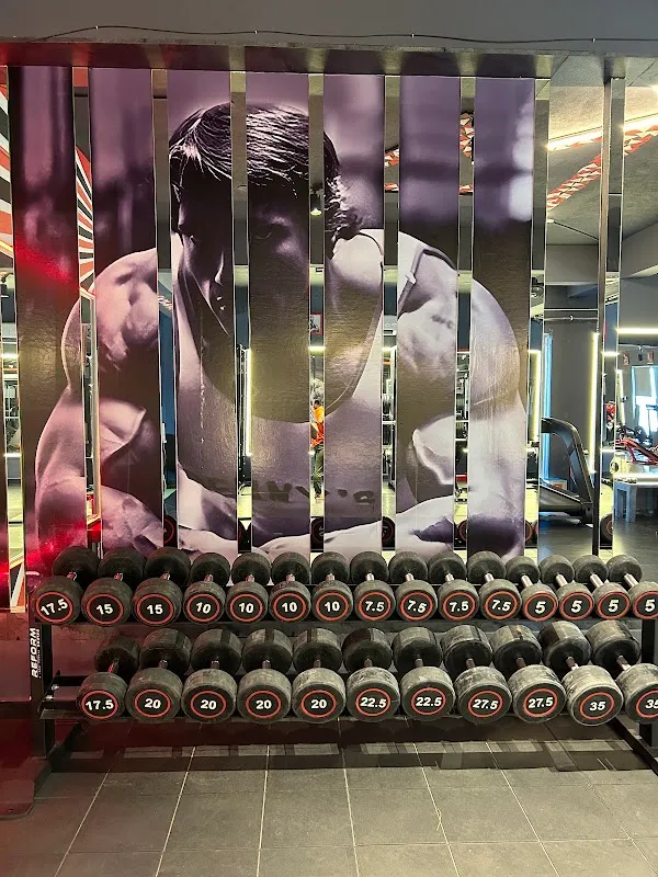 Roar fitness studio