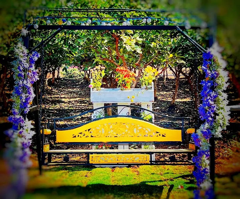 Unique Picture Location