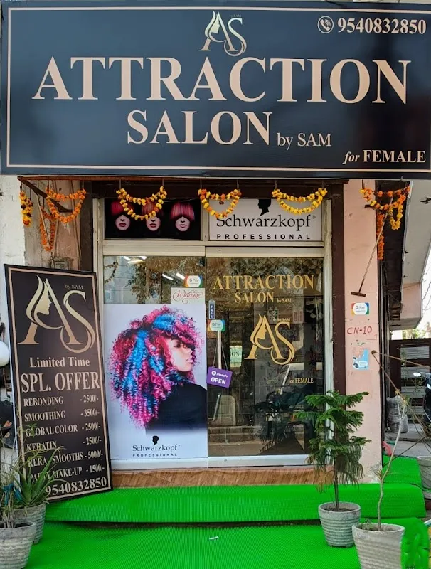 Attraction Salon by Sam