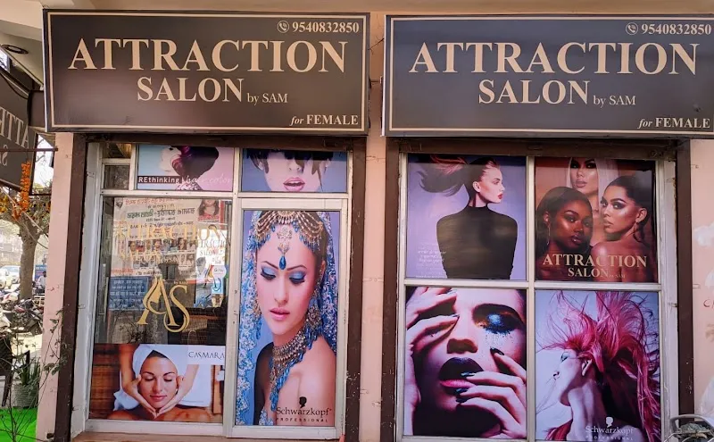 Attraction Salon by Sam