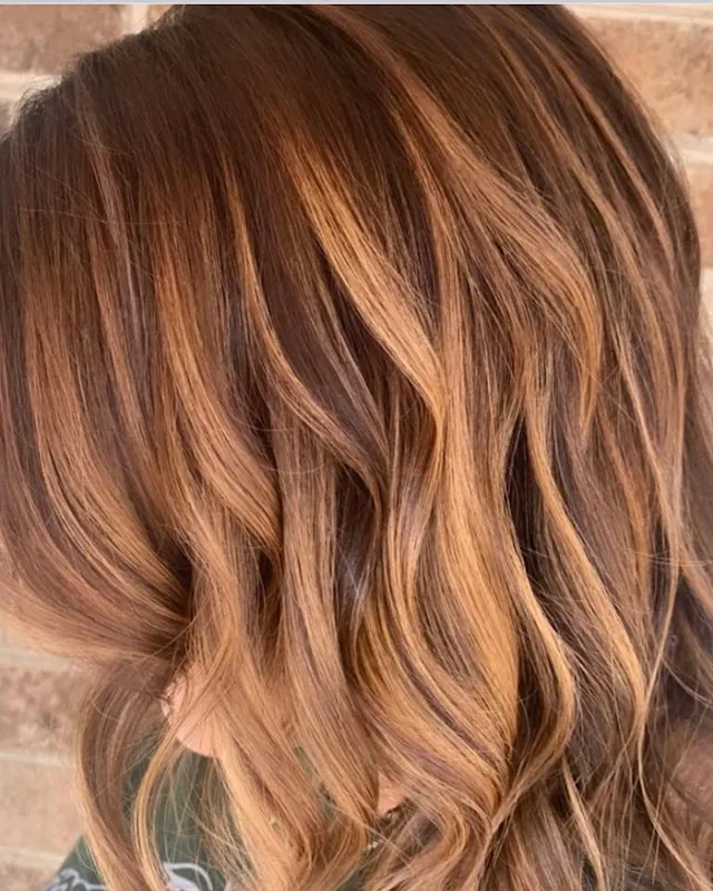 Salon 31