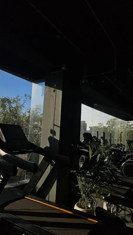 V-Square Gym & Wellness Lounge
