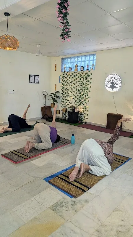 Sthirta yog studio