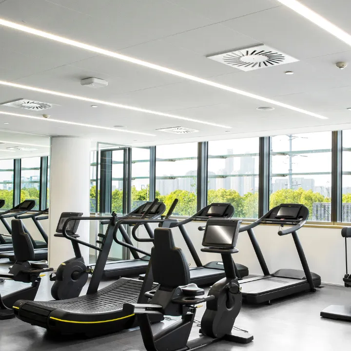 Burnzone - Best Gym And Fitness Studio in Malleshwaram Bangalore
