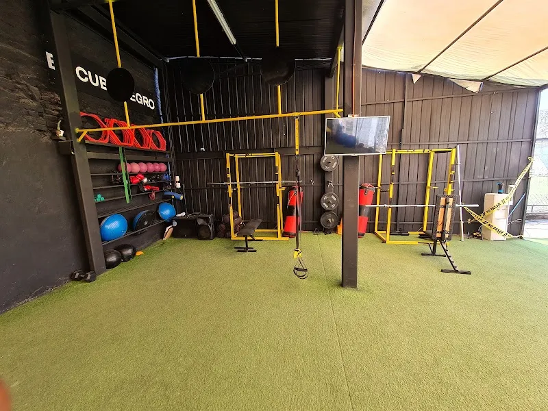 Venfit GYM