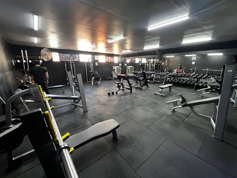 Venfit GYM