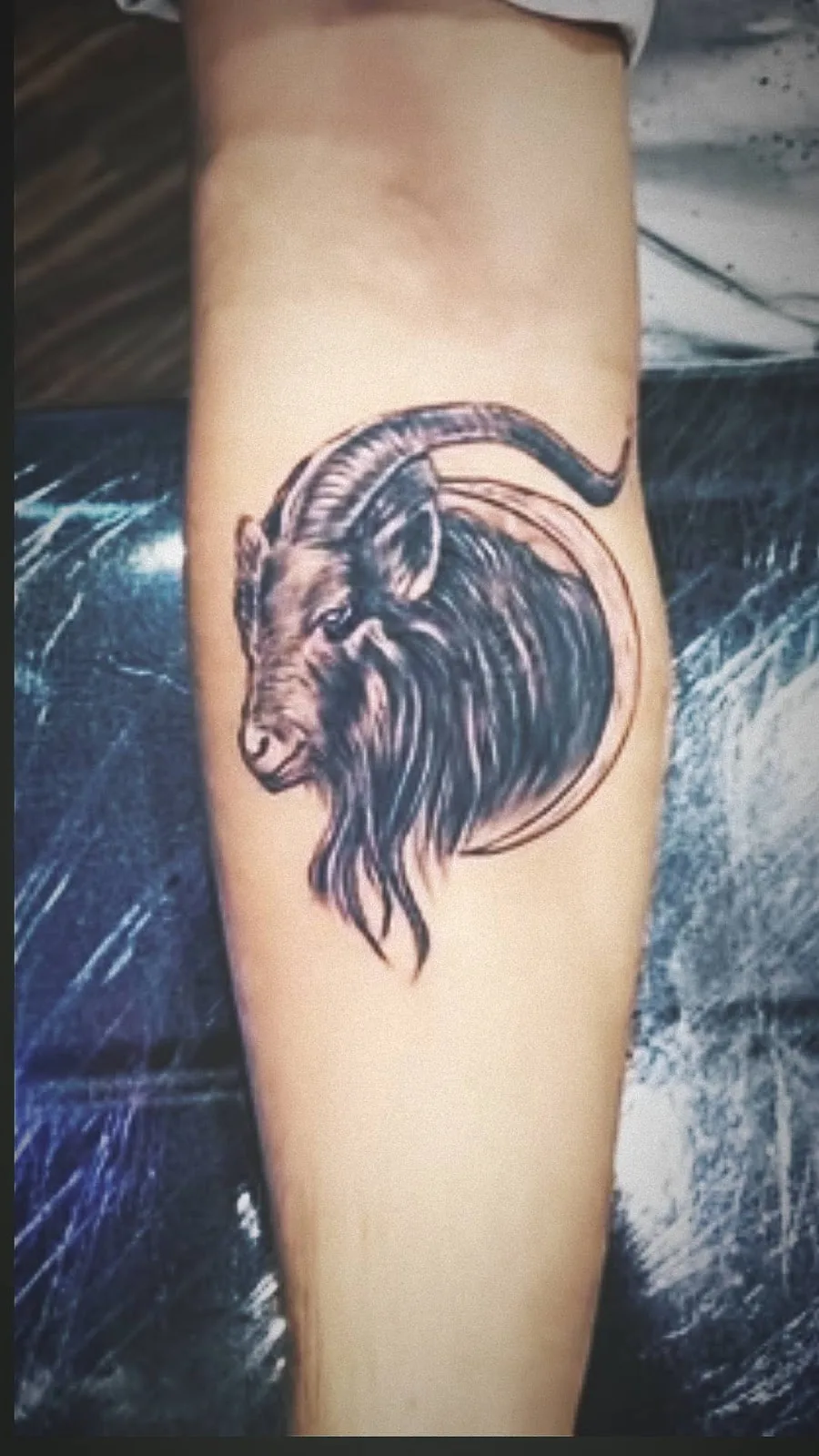 Gullyboys tattoo shop