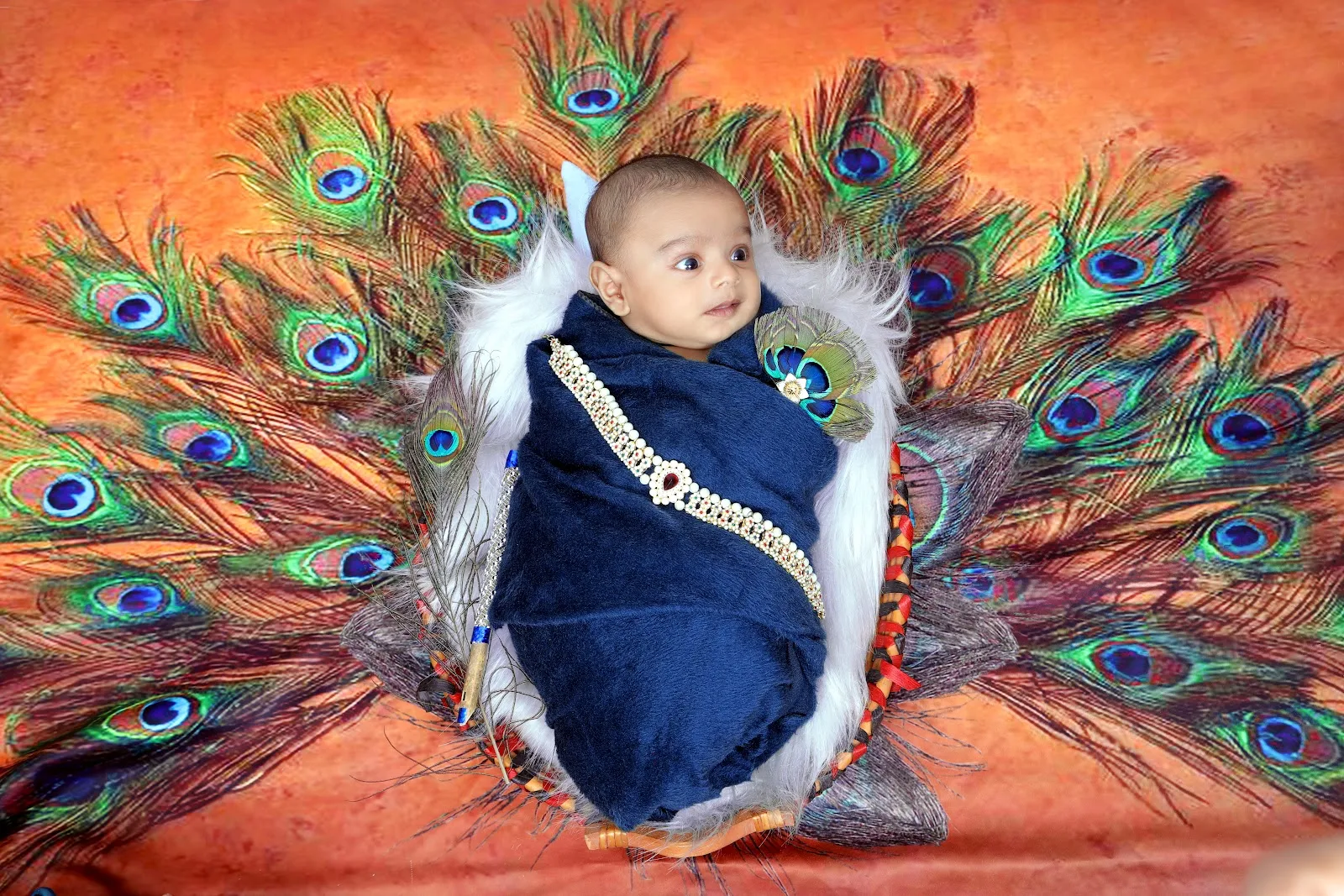 Radhika Photo Studio Kamrej