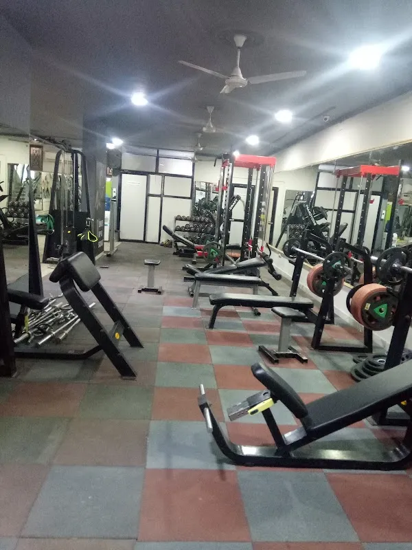Fitness Step