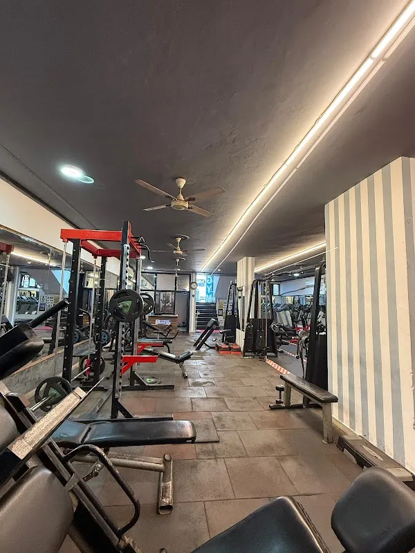 Fitness Step