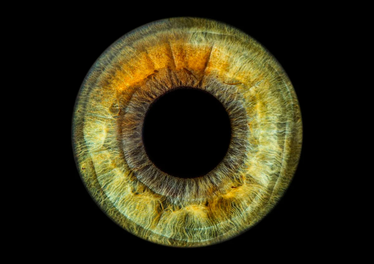 Eyemazy Amsterdam - Iris Photography