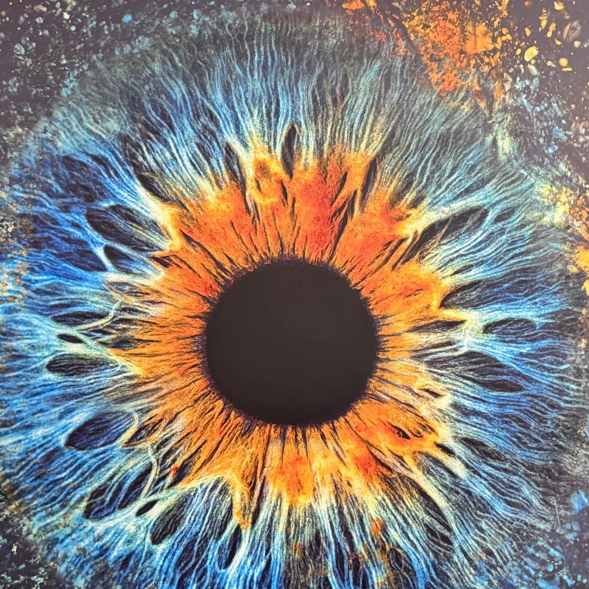 Eyemazy Amsterdam - Iris Photography