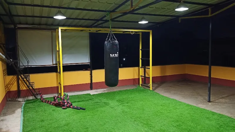 Fitnestics Family Gym