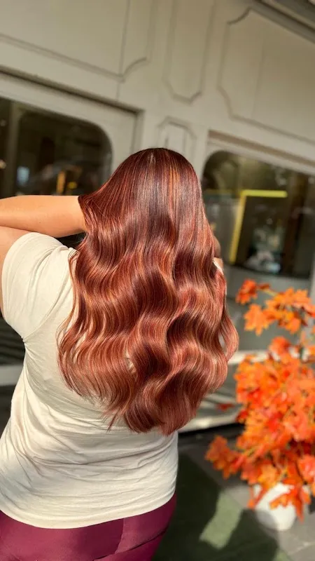 Looks Salon