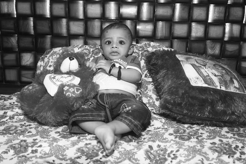 THE PICTURE MAHAL