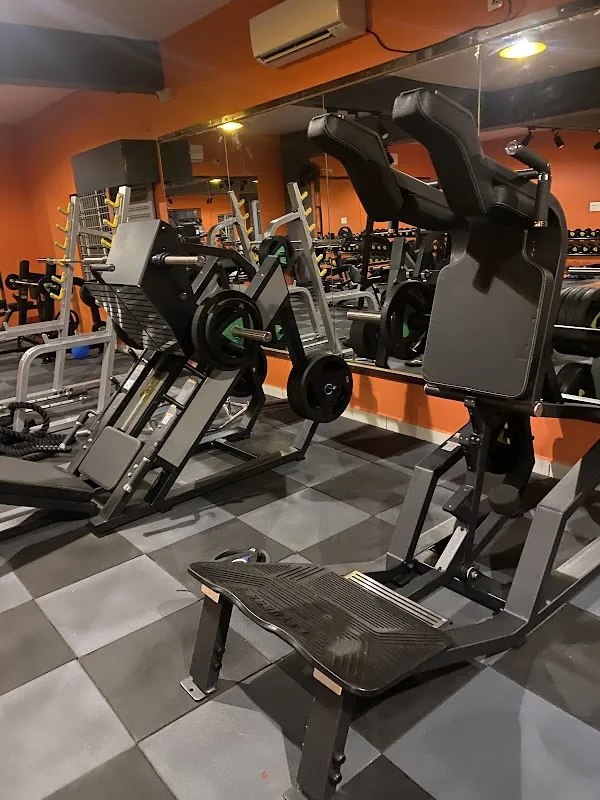 True Muscle Fitness Hub