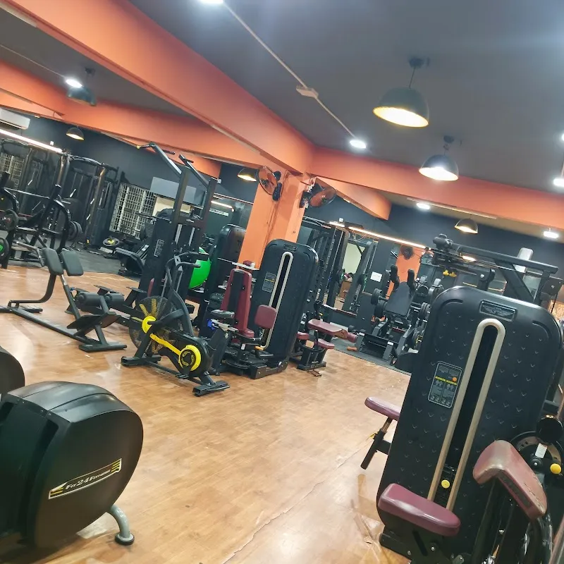 True Muscle Fitness Hub