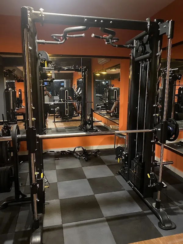 True Muscle Fitness Hub