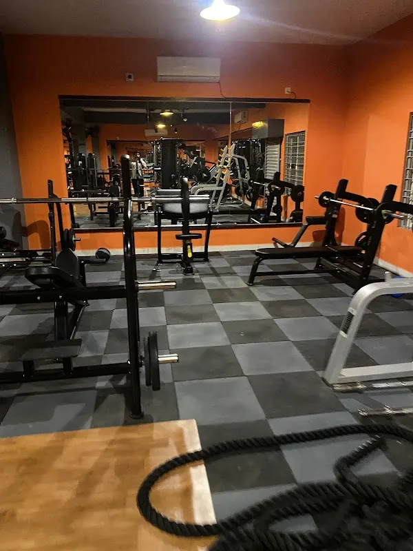 True Muscle Fitness Hub