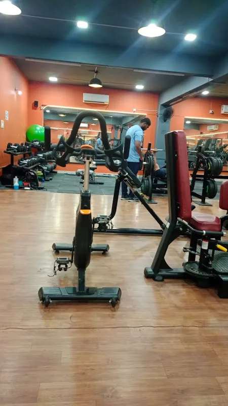 True Muscle Fitness Hub
