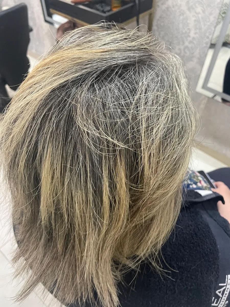 Salon El jida