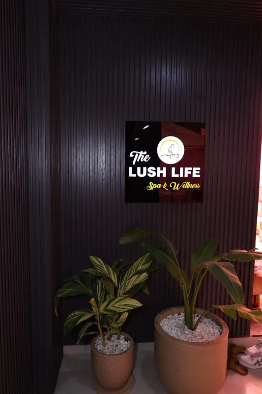The lush life spa and wellness