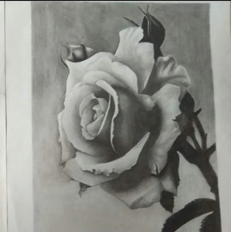 Luminary Tattoo & Art