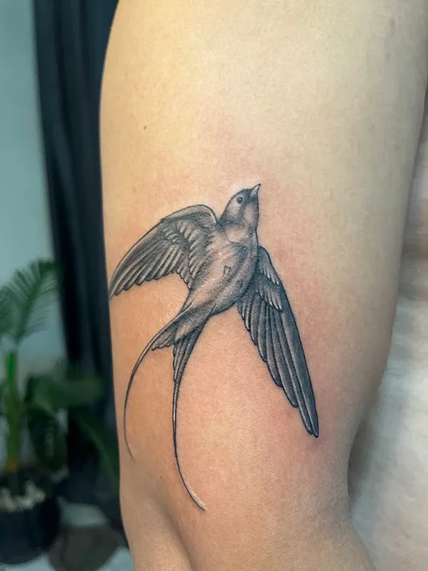 Mad Ink Magic Tattoo Studio & Training Academy