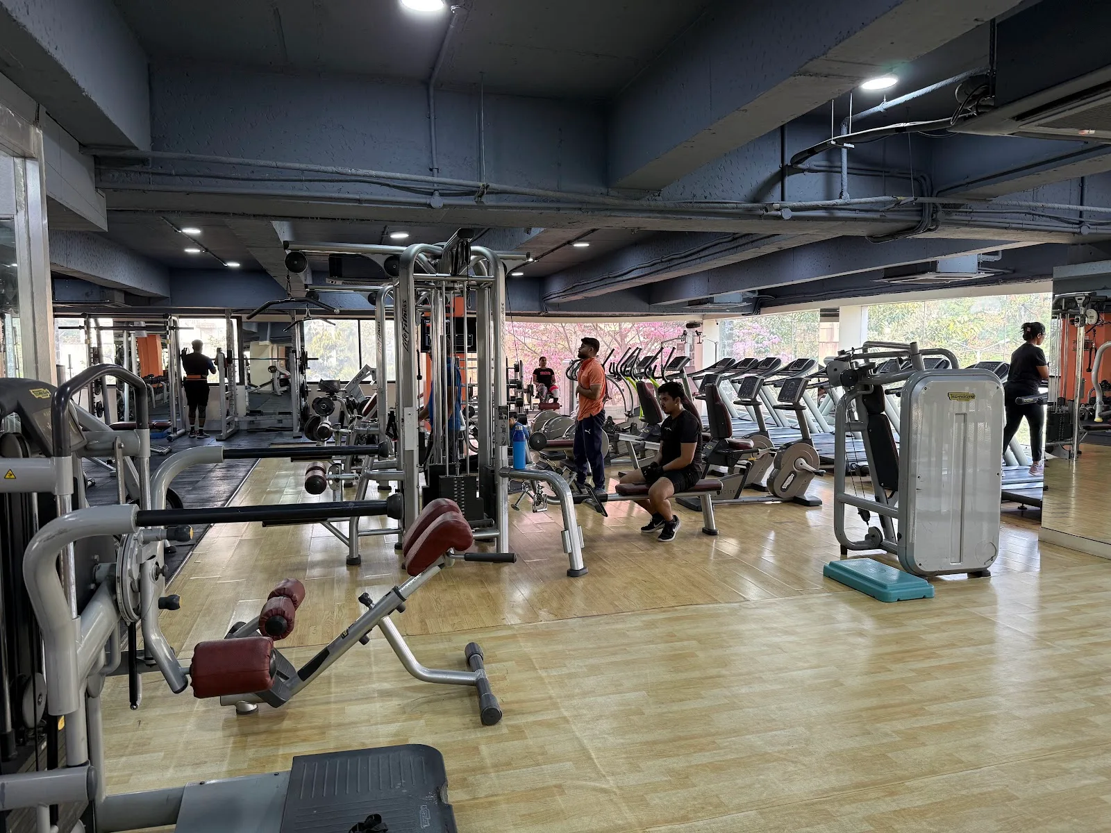 Sky Fitness & Wellness