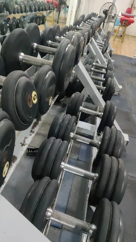 Muscle Power Gym