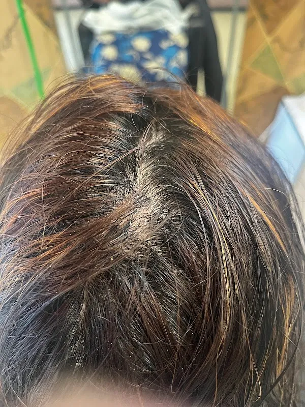 The Jhansi Unisex Salon